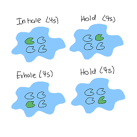 This concept uses Box Breathing by guiding users through a 4-4-4-4 cycle in which four projected lily pads light up sequentially. Prompting an inhale, hold, exhale, and final hold.