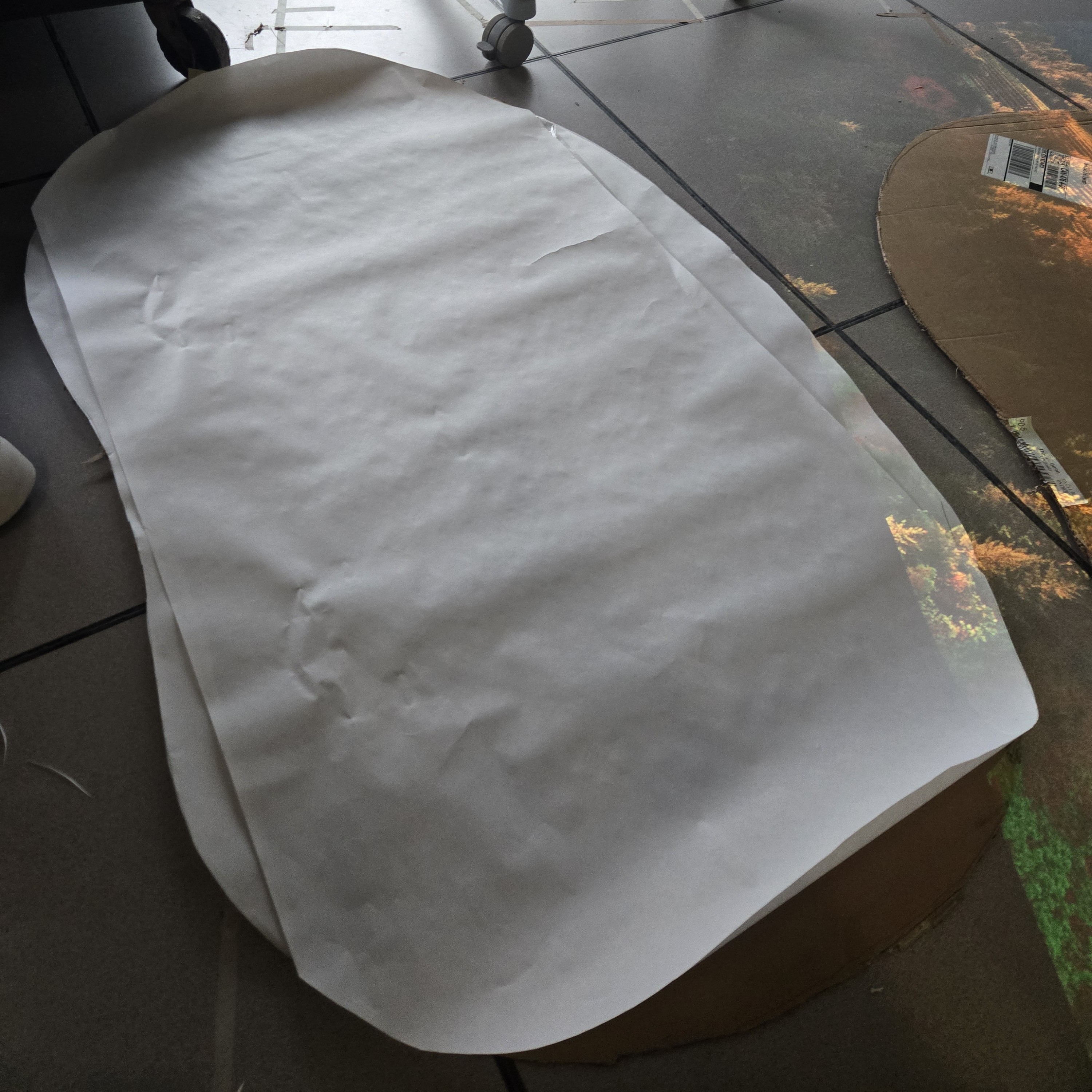 Once we tried projecting the lake into the brown cardboard, the lake appeared green. To improve that, we covered the cardboard with white paper